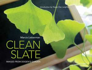 CLEAN SLATE de Marcia Lieberman