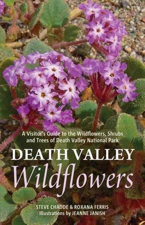 Death Valley Wildflowers de Steve W Chadde