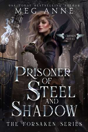 Prisoner of Steel and Shadow de Meg Anne