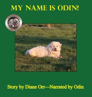 My Name is Odin de Diane Orr