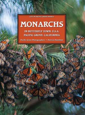 MONARCHS In Butterfly Town U.S.A., Pacific Grove, California de Patricia Hamilton