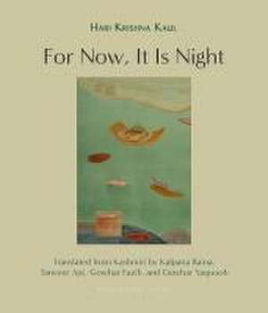 For Now, It Is Night: Stories de Hari Krishna Kaul