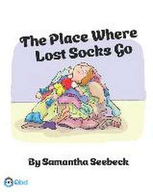 Seebeck, S: PLACE WHERE LOST SOCKS GO