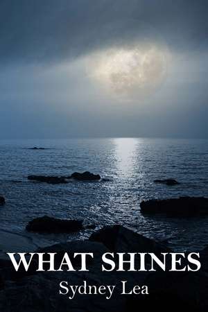 What Shines de Sydney Lea