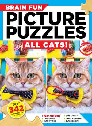 Brain Fun Picture Puzzles: All Cats de Michele Filon