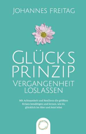 Freitag, J: Glücksprinzip - Vergangenheit loslassen