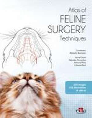 Feline surgery de Alberto Barneto