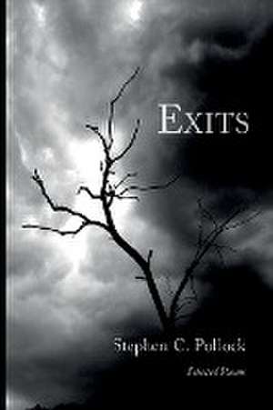 Exits de Stephen C Pollock