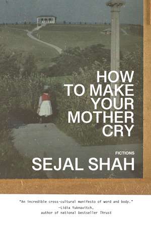 How to Make Your Mother Cry: Fictions de Sejal Shah