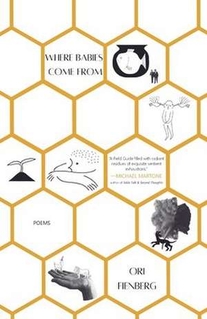 Where Babies Come From de Ori Fienberg