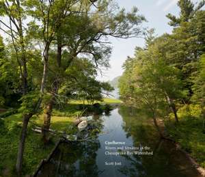 Confluence de Scott Jost