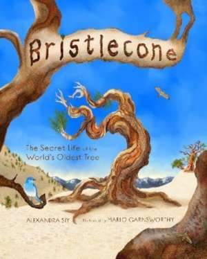 Bristlecone: The Secret Life of the World's Oldest Tree de Alexandra Siy