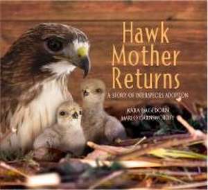 Hawk Mother Returns de Kara Hagedorn