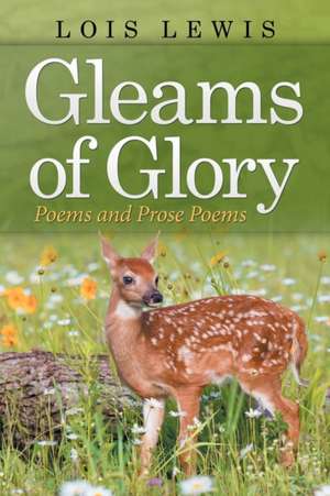 Gleams of Glory de Lois Lewis