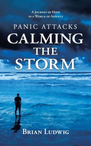 Panic Attacks Calming the Storm de Brian Ludwig