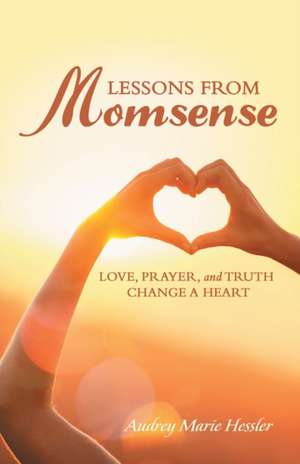 Lessons from Momsense de Audrey Marie Hessler