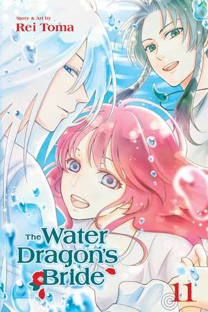 The Water Dragon's Bride, Vol. 11 de Rei Toma