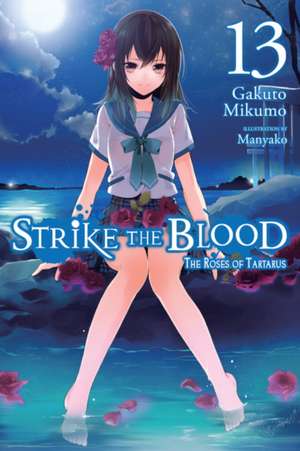 Strike the Blood, Vol. 13 (light novel) de Gakuto Mikumo