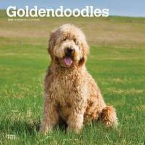 GOLDENDOODLES 2024 SQUARE