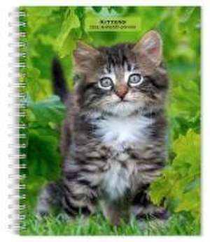 Kittens 2025 6 X 7.75 Inch Spiral-Bound Wire-O Weekly Engagement Planner Calendar New Full-Color Image Every Week de Browntrout