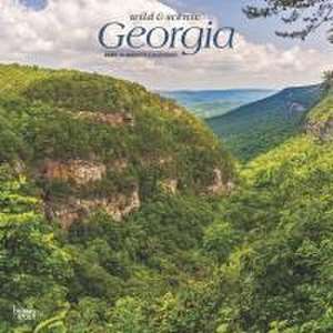 Georgia Wild & Scenic 2025 12 X 24 Inch Monthly Square Wall Calendar Plastic-Free de Browntrout