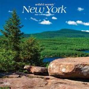 New York Wild & Scenic 2025 12 X 24 Inch Monthly Square Wall Calendar Plastic-Free de Browntrout