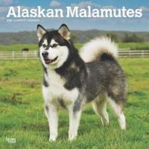 Alaskan Malamutes 2025 12 X 24 Inch Monthly Square Wall Calendar Plastic-Free de Browntrout