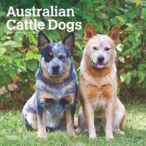 Australian Cattle Dogs 2025 12 X 24 Inch Monthly Square Wall Calendar Plastic-Free de Browntrout