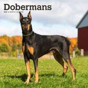 Dobermans 2025 12 X 24 Inch Monthly Square Wall Calendar Plastic-Free de Browntrout