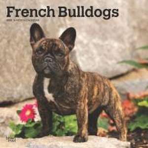 French Bulldogs 2025 12 X 24 Inch Monthly Square Wall Calendar Plastic-Free de Browntrout