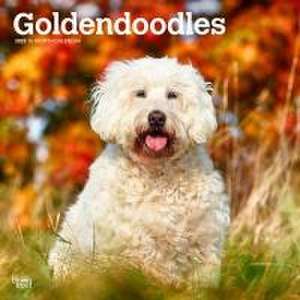 Goldendoodles 2025 12 X 24 Inch Monthly Square Wall Calendar Plastic-Free de Browntrout