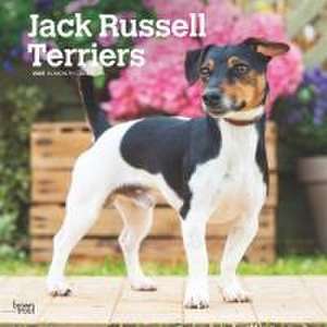 Jack Russell Terriers 2025 12 X 24 Inch Monthly Square Wall Calendar Plastic-Free de Browntrout