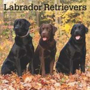 Labrador Retrievers 2025 12 X 24 Inch Monthly Square Wall Calendar Plastic-Free de Browntrout