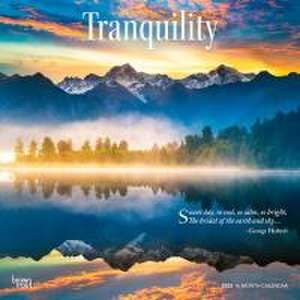 Tranquility 2025 12 X 24 Inch Monthly Square Wall Calendar Plastic-Free de Browntrout