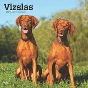 Vizslas 2025 12 X 24 Inch Monthly Square Wall Calendar Plastic-Free de Browntrout