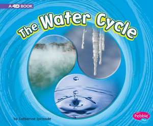 The Water Cycle de Catherine Ipcizade