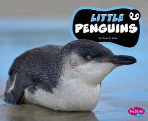 Little Penguins de Jody S. Rake