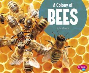 A Colony of Bees de Lucia Raatma