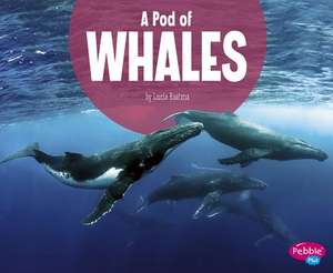 A Pod of Whales de Lucia Raatma