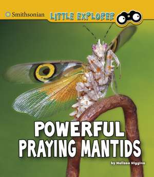 Powerful Praying Mantids de Melissa Higgins