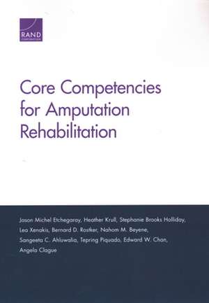 CORE COMPETENCIES FOR AMPUTATIPB de Stephanie Brooks Holliday