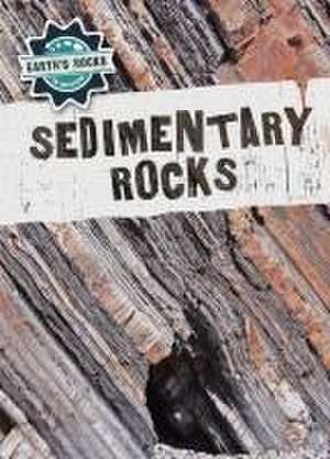 Sedimentary Rocks de Anna McDougal