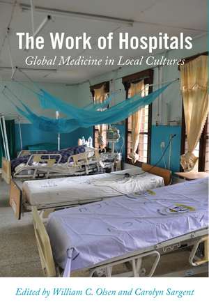 The Work of Hospitals: Global Medicine in Local Cultures de William C. Olsen