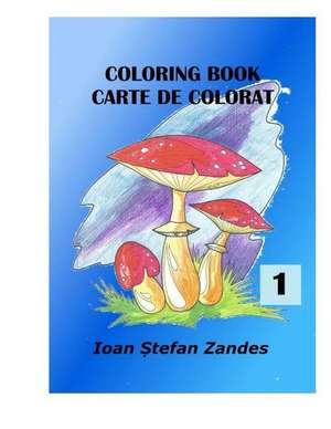 Coloring Books de Zandes, Mr Ioan Stefan