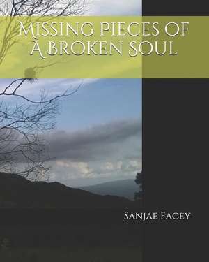 Missing Pieces of a Broken Soul de Sanjae Facey