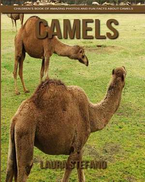 Camels de Stefano, Laura