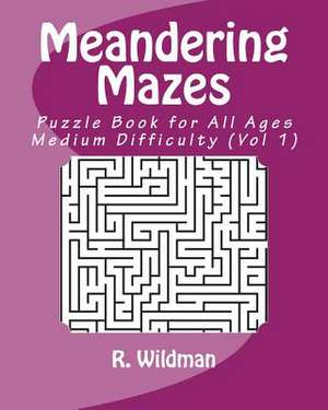 Meandering Mazes de Wildman, R.