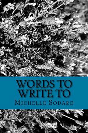Words to Write to de Michelle Sodaro