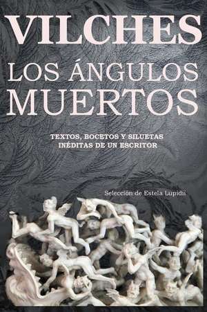 Los Angulos Muertos de Jesus B. Vilches