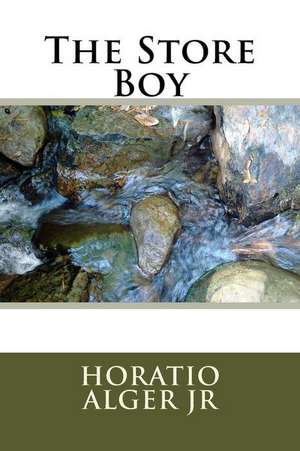 The Store Boy de Horatio Alger Jr.